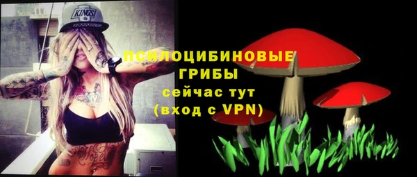 прущие грибы Алзамай