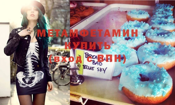 индика Новодвинск