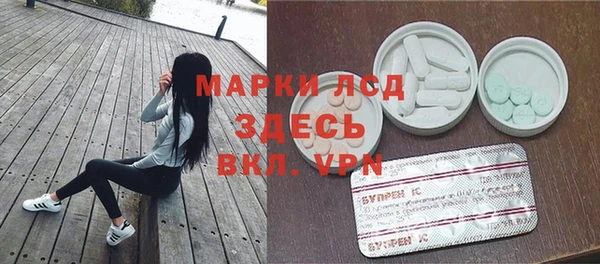 прущие грибы Алзамай