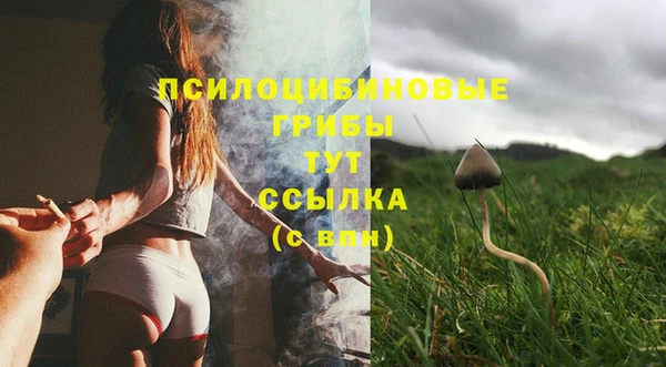 прущие грибы Алзамай