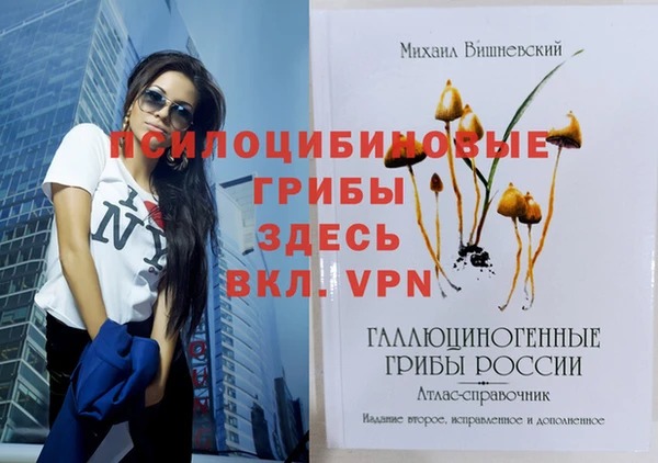 прущие грибы Алзамай