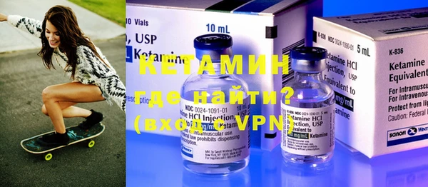 индика Новодвинск