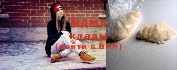 прущие грибы Алзамай