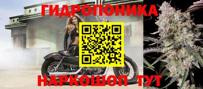 mix Заводоуковск